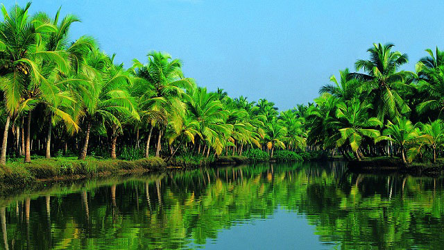 kerala4you-backwaters