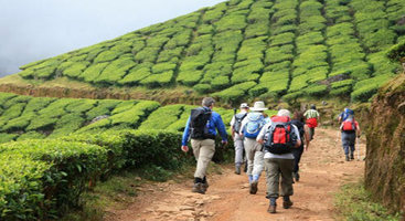 Walking tours in Kerala