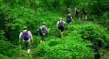 Kerala Trekking tours