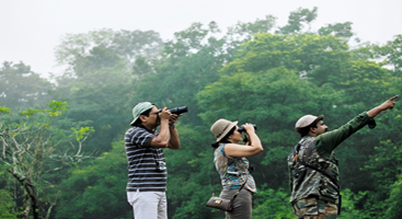 Kerala bird watching tour packages