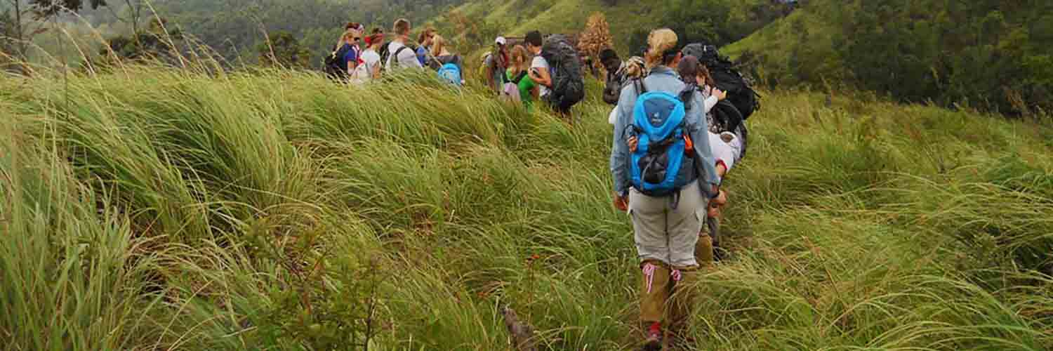 Trekking in Kerala