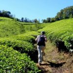 Walking tours in Kerala