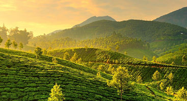 Kerala tour packages