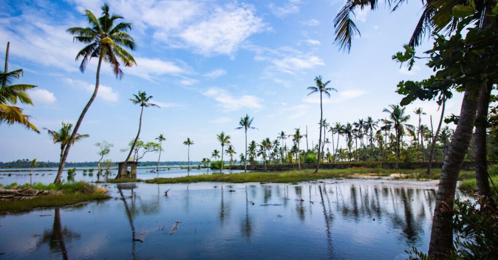 South India tour packages covering temples backwaters and beaches